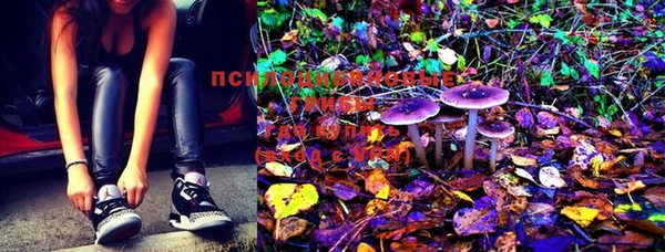 MESCALINE Нефтегорск