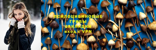 ГАЛЛЮЦИНОГЕННЫЕ ГРИБЫ Беслан