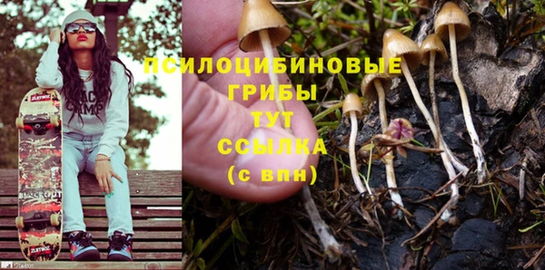 PSILOCYBIN Нея