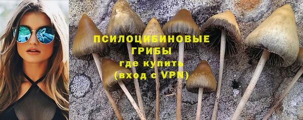 круглые Нефтекумск